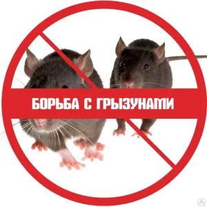 Дератизация. Уничтожение грызунов